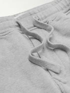Stone Island - Tapered Logo-Appliquéd Cotton-Jersey Sweatpants - Gray