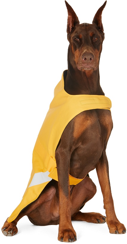 Photo: Stutterheim SSENSE Exclusive Yellow Lightweight Dog Raincoat