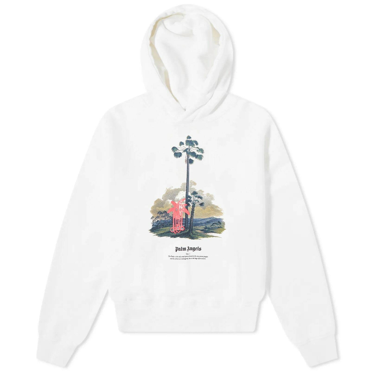 Palm Angels Men's Douby Popover Hoodie in Off White Palm Angels