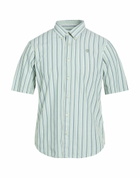 Timberland Mens Shirt in Sage green