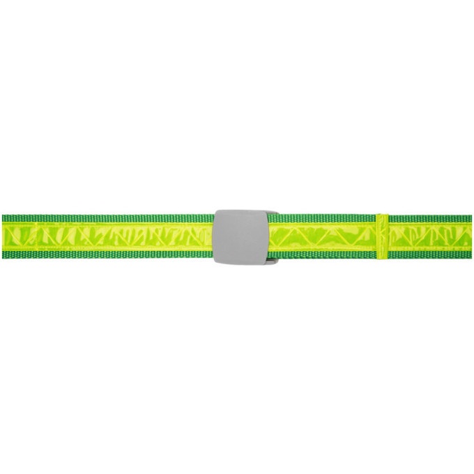 Photo: Landlord Green and Yellow Reflective Belt