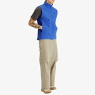 Arc'teryx Men's Atom Vest in Electra