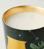 Trudon Fir Intermediate scented candle