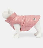 Moncler Genius - x Poldo Dog Couture dog coat