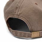 Café Mountain Men's Music and Arts Cap in Taupe