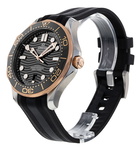 Omega Seamaster Diver 300m 210.22.42.20.01.002