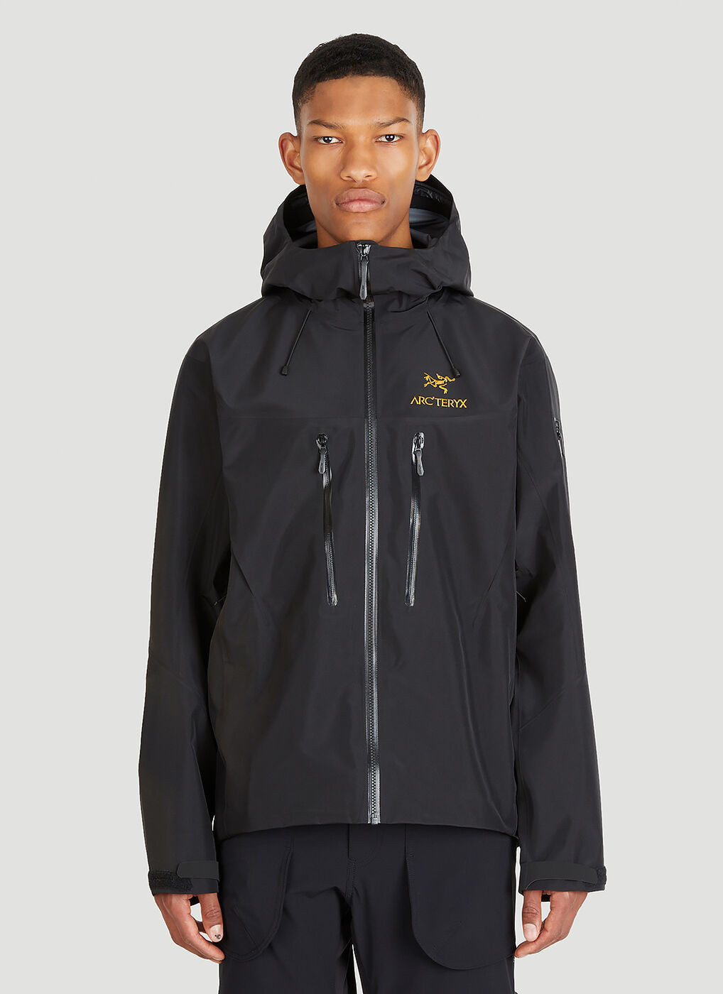 22AW新品 ARC'TERYX alpha sv 24K black M承知しました - マウンテン 