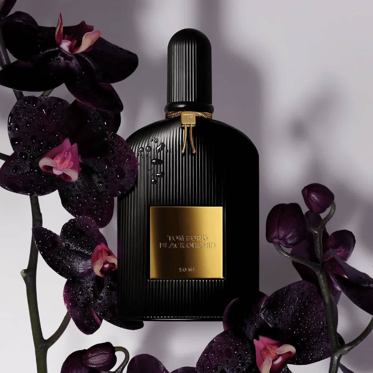 Tom Ford Ladies Black Orchid Gift Set Fragrances 888066124393