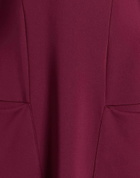 Jijil Womens Mini dress in Burgundy