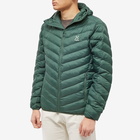 Haglofs Men's Haglöfs Sarna Mimic Hooded Jacket in Fjell Green