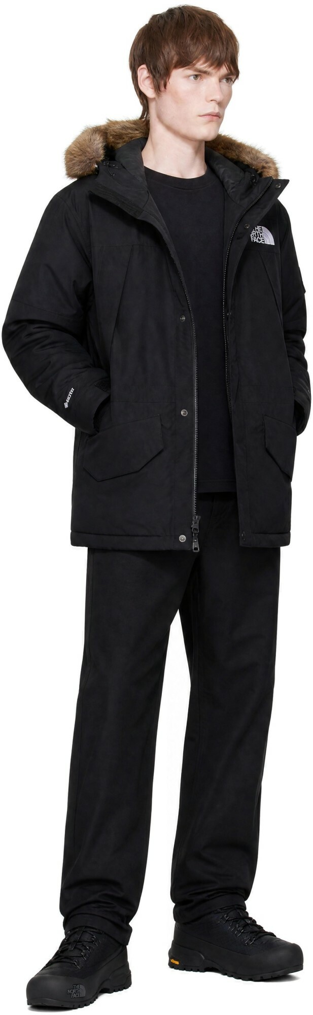 The North Face Black McMurdo 2L GTX Down Parka