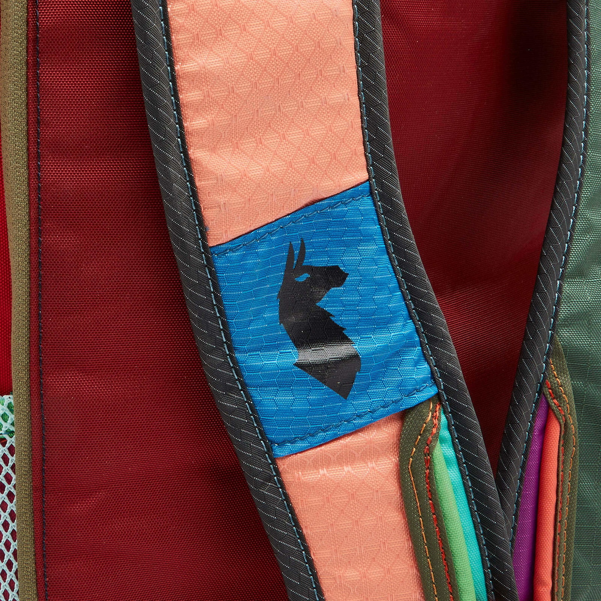 Cotopaxi Men's Batac 24L Pack in Del Dia 