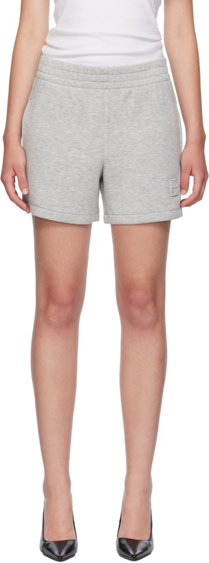 Photo: ANINE BING Gray Kam Framed Monogram Shorts