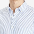 Portuguese Flannel Men's Belavista Stripe Button Down Oxford Shirt in Blue Stripe