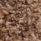 Natures Collection Short Curly Wool Sheepskin Cushion in Taupe