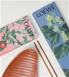 Loewe Home Scents Ivy incense set