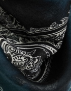 Acne Studios Womens Scarf in Black