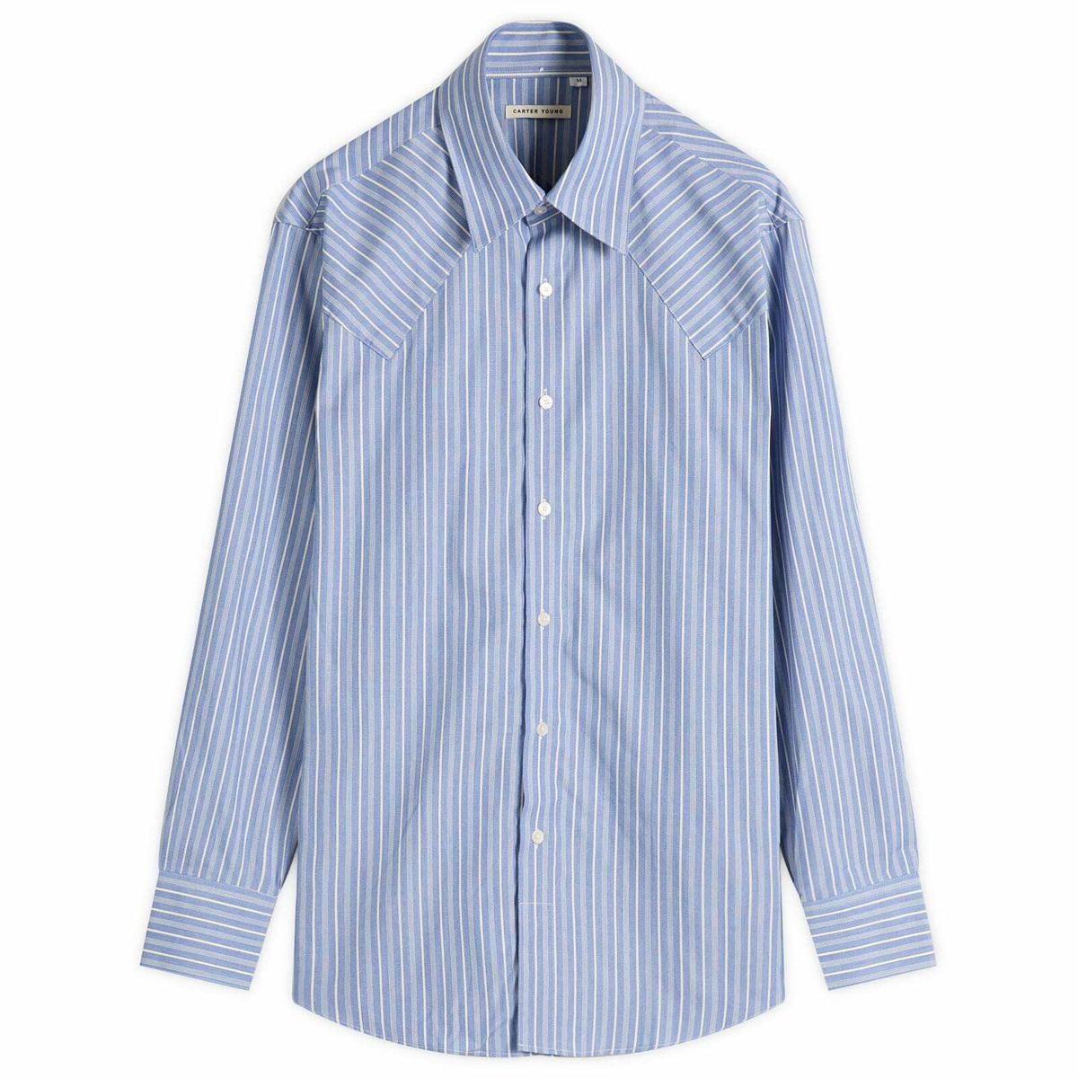 Carter Young Men's Western Business Shirt in Blue Static Stripe