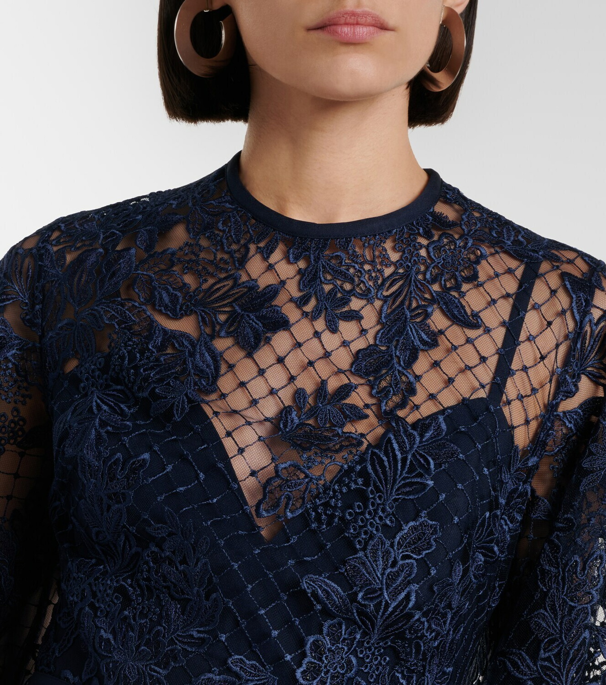 Elie Saab Embroidered lace and tulle gown