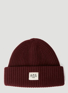 James Beanie Hat in Burgundy