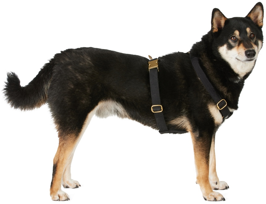 See Scout Sleep Black The Scot Medium Original Harness