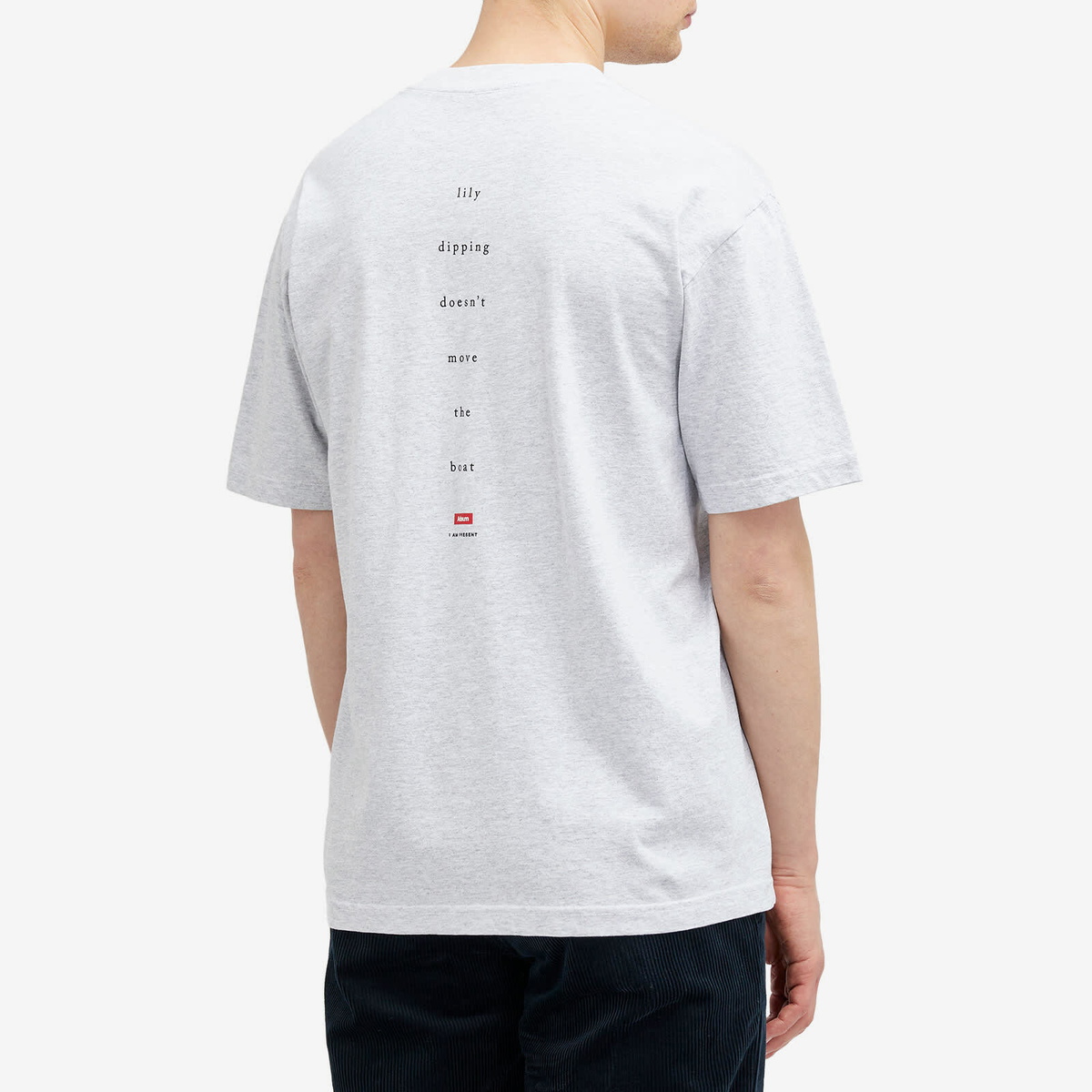 Adsum Men's Lily T-Shirt in Grey