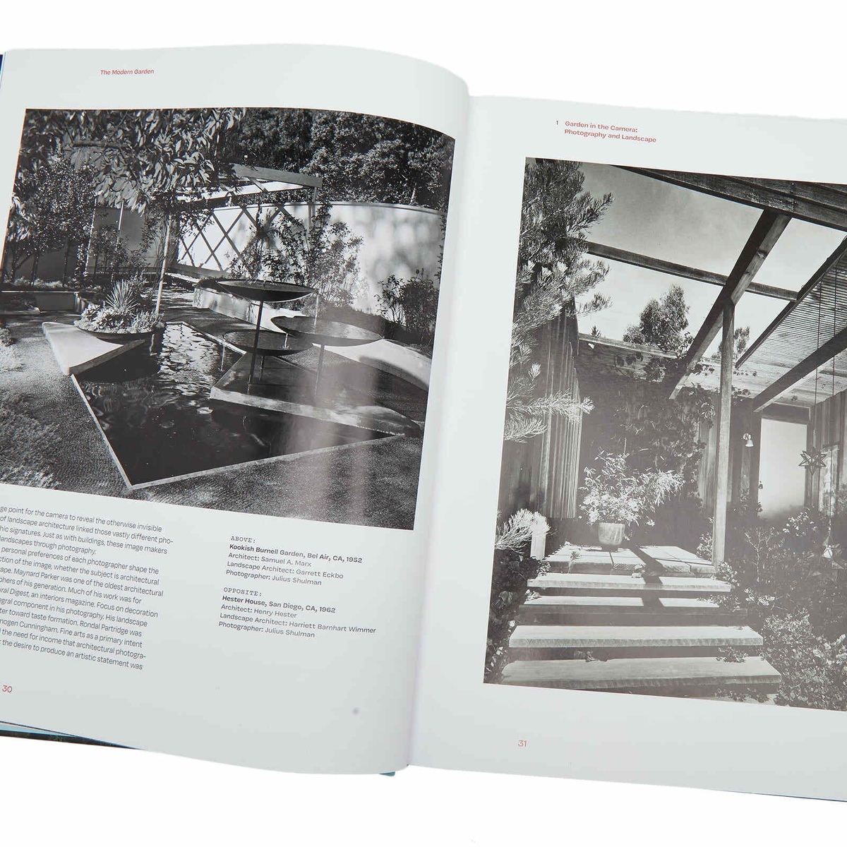 Rizzoli The Modern Garden in Pierluigi Serraino 