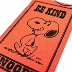 Peanuts Pennant in Be Kind
