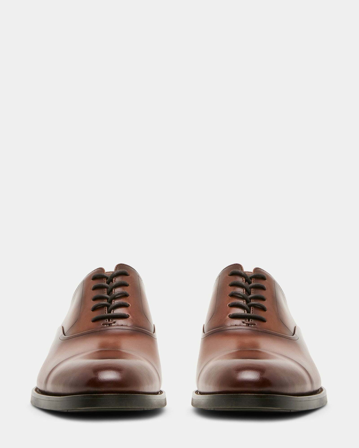 Steve Madden Hallifax Dress Shoes in Cognac