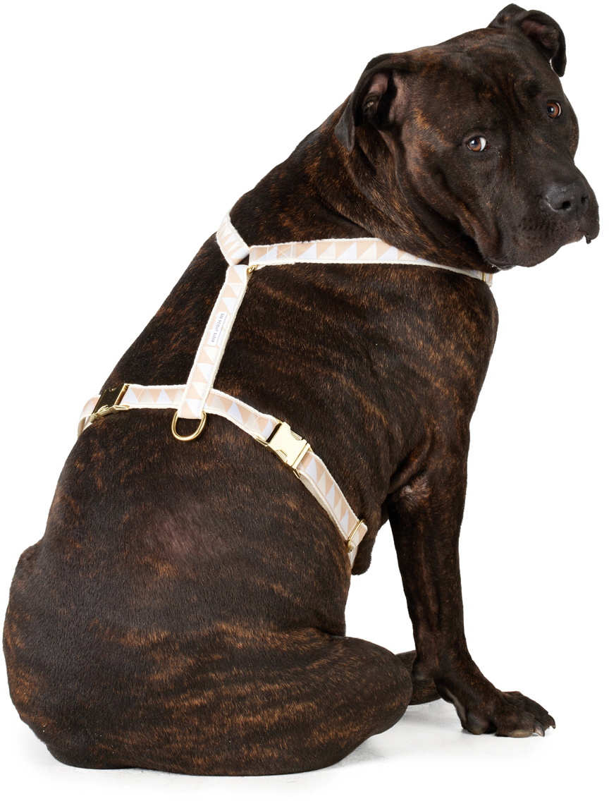See Scout Sleep Beige & Blue Extra Large Nice Grill Standard Harness