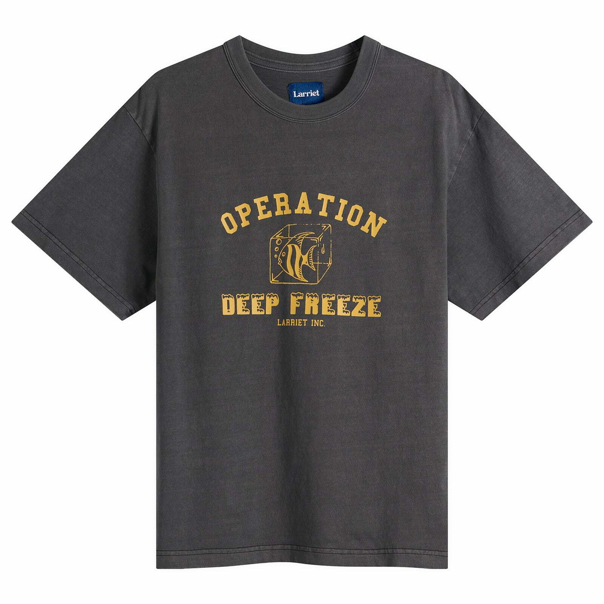 Larriet Men's Deep Freeze T-Shirt in Black