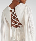 Maria Lucia Hohan Alana B plissé silk  maxi dress