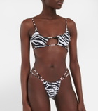 Reina Olga Theresa zebra-print bikini top