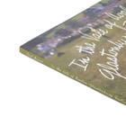 IDEA Paul Misso In The Vale Of Avalon: Glastonbury Festival in Green 