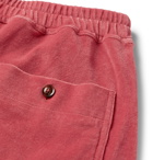 TOM FORD - Tapered Cotton-Blend Velour Sweatpants - Pink