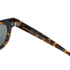 Moscot Fritz Sunglasses in Tortoise/Black