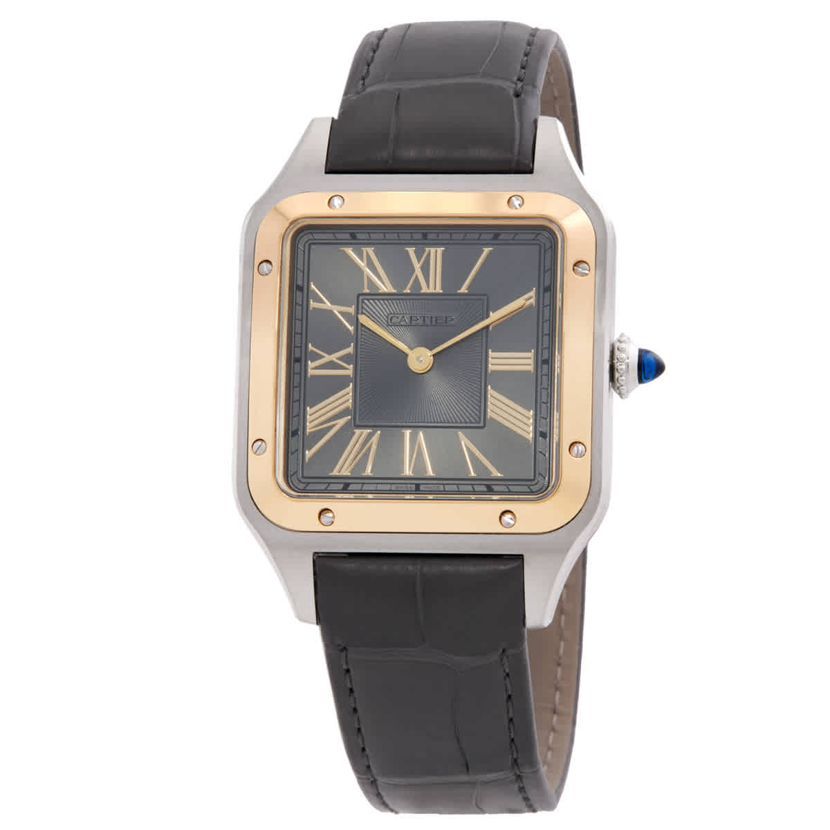 Cartier Santos-Dumon Quartz Grey Dial Watch W2SA0036
