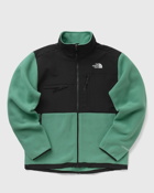 The North Face Denali Jacket Black|Green - Mens - Fleece Jackets