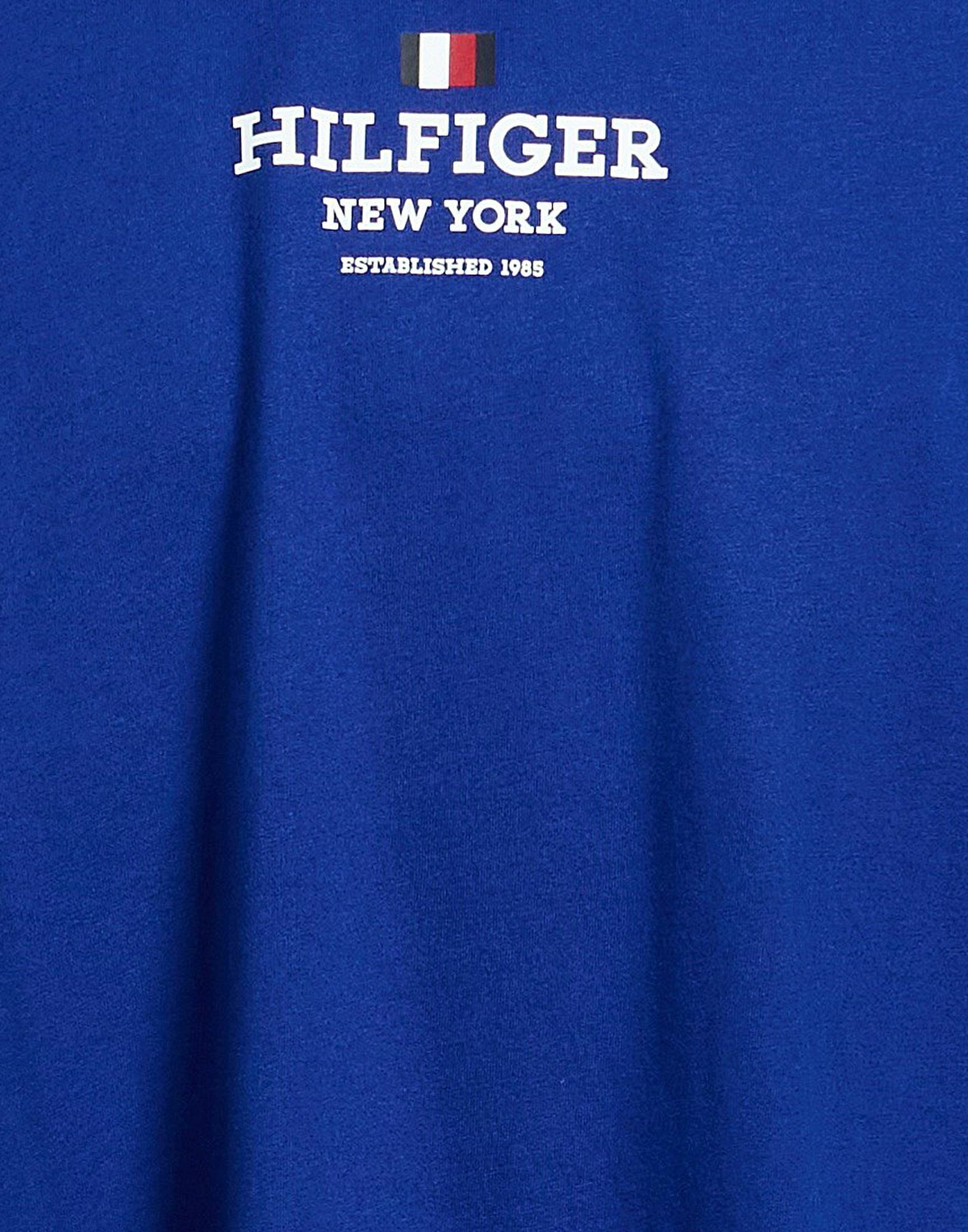 Tommy Hilfiger Mens T-shirt in Blue