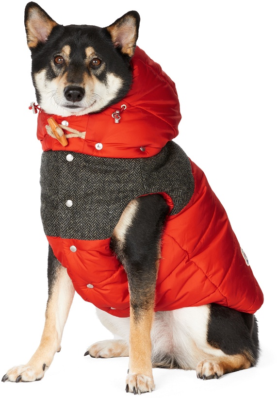 Photo: Moncler Genius Red Poldo Dog Couture Edition Mondog Vest