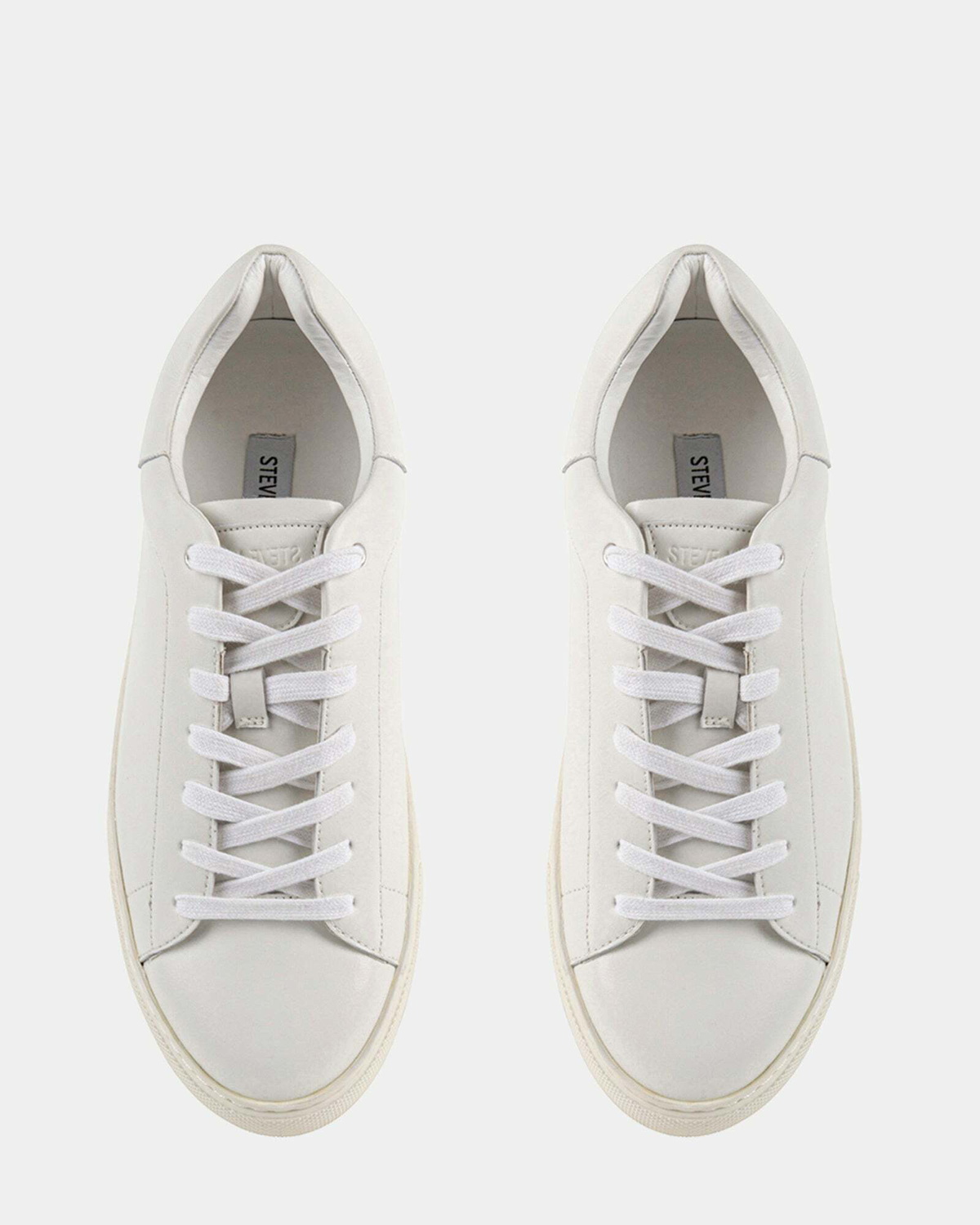 Steve Madden Fogarty Sneakers in White