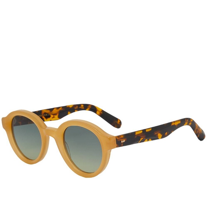 Photo: Moscot Greps Sunglasses