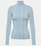 Cordova Sol turtleneck ski top