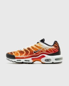 Nike Nike Air Max Plus Og 'light Photography' Orange/Red Lowtop