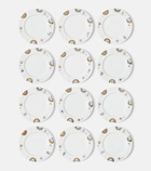 Fornasetti Astronomici set of 12 porcelain dinner plates