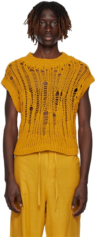 Photo: AIREI Yellow Laddering Sweater Vest