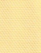 Circolo 1901 Womens Blazer in Yellow