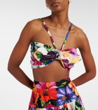 Dolce&Gabbana Bow-detail floral cotton bra top