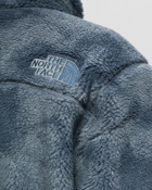 The North Face M Denali X Jacket Blue - Mens - Fleece Jackets