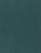 Alessia Santi Womens Top Emerald in Green